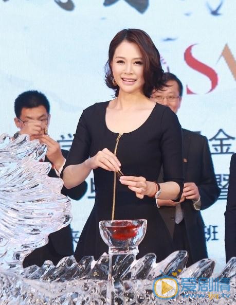 关悦活动照 关悦高清写真_关悦高清剧照