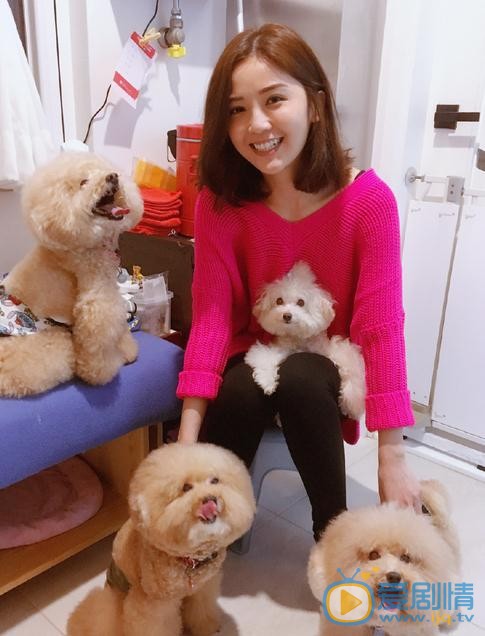 蔡卓妍狗狗合照 蔡卓妍高清写真_蔡卓妍高清剧照