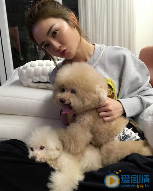 蔡卓妍狗狗合照 蔡卓妍高清写真_蔡卓妍高清剧照