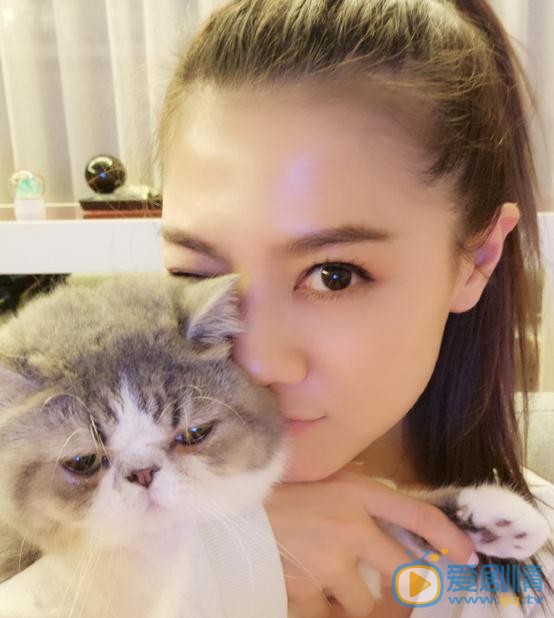 周秀娜猫咪合照 周秀娜高清写真_周秀娜高清剧照