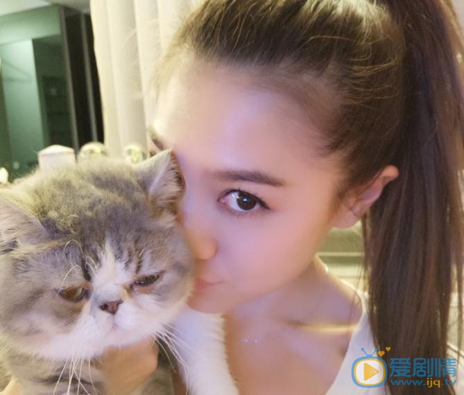 周秀娜猫咪合照 周秀娜高清写真_周秀娜高清剧照