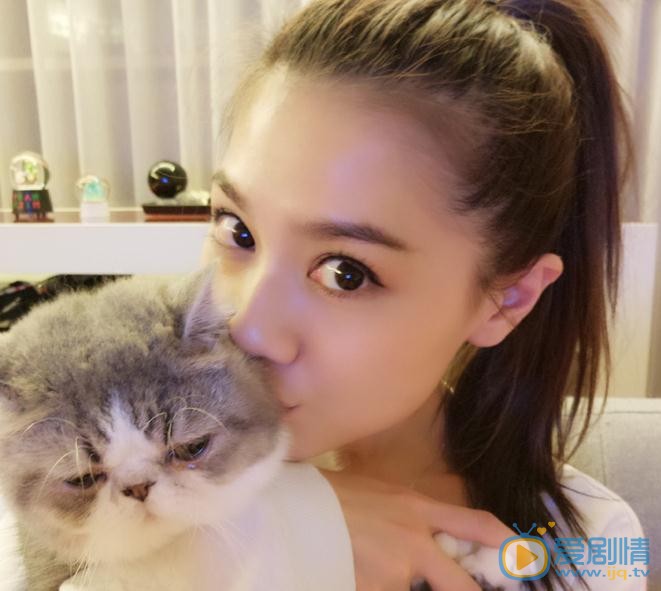 周秀娜猫咪合照 周秀娜高清写真_周秀娜高清剧照