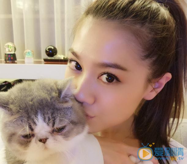 周秀娜猫咪合照 周秀娜高清写真_周秀娜高清剧照