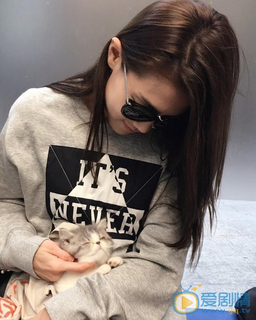 周秀娜猫咪合照 周秀娜高清写真_周秀娜高清剧照