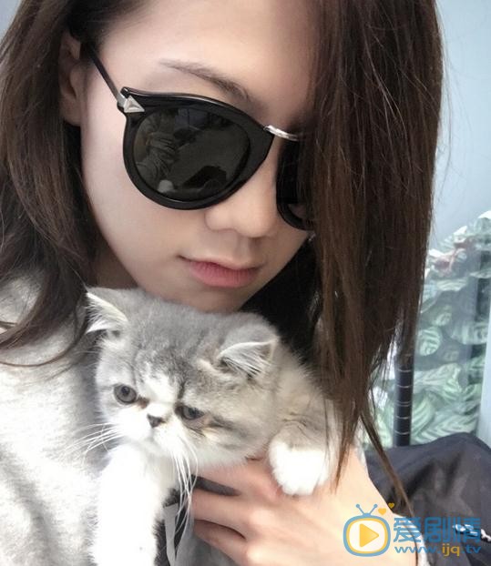 周秀娜猫咪合照 周秀娜高清写真_周秀娜高清剧照