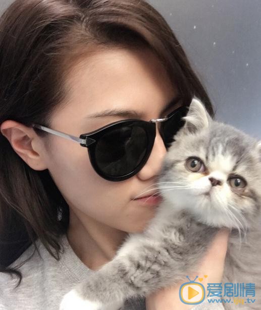 周秀娜猫咪合照 周秀娜高清写真_周秀娜高清剧照