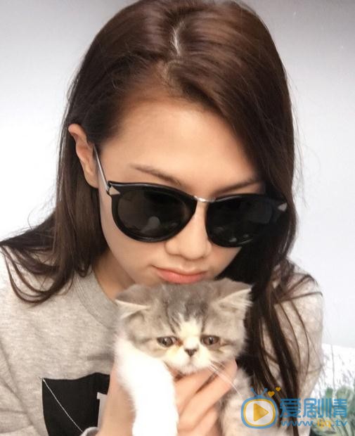 周秀娜猫咪合照 周秀娜高清写真_周秀娜高清剧照