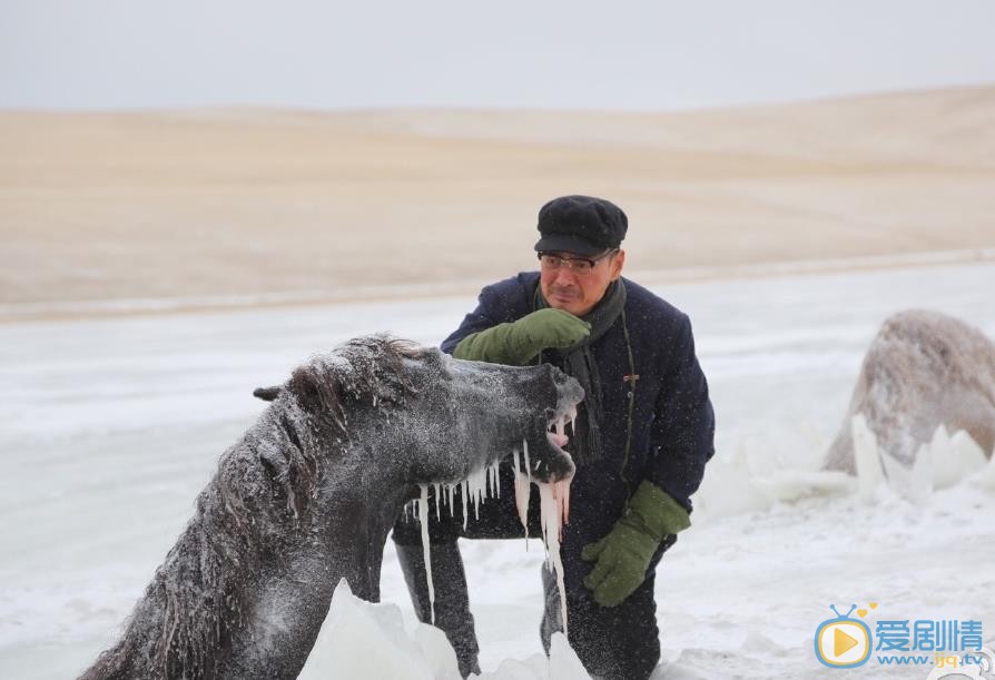 尹铸胜《狼图腾》剧照 尹铸胜高清写真_尹铸胜高清剧照