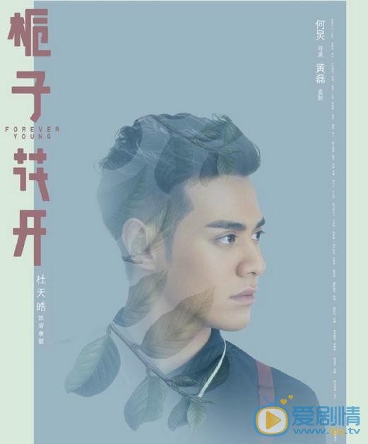 杜天皓《栀子花开》剧照 杜天皓《栀子花开》剧照