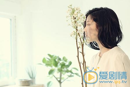 李侑菲写真 李侑菲高清写真_李侑菲高清剧照