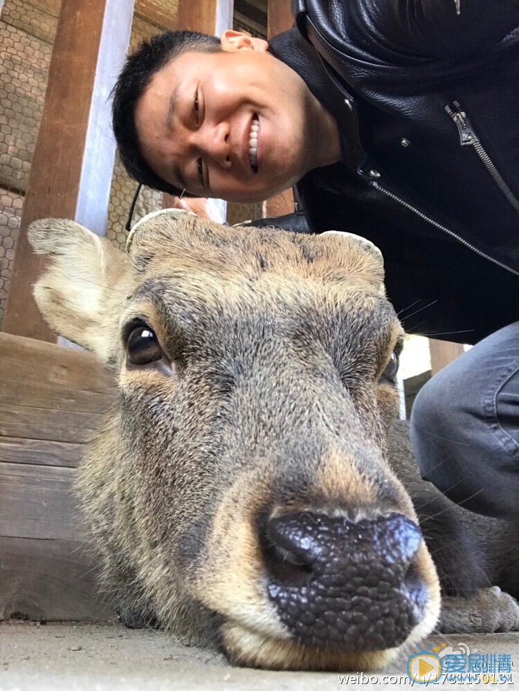 肖央生活照 肖央高清写真_肖央高清剧照