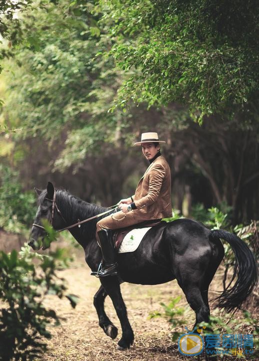 王东帅气写真 王东高清写真_王东高清剧照