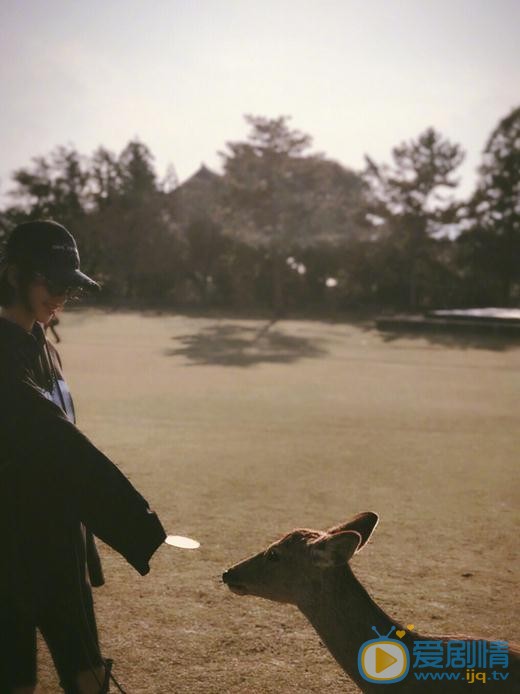 唐艺昕生活照 唐艺昕高清写真_唐艺昕高清剧照