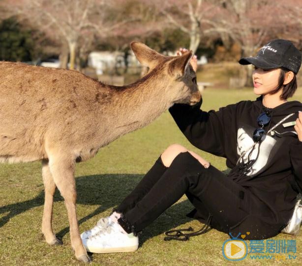 唐艺昕生活照 唐艺昕高清写真_唐艺昕高清剧照