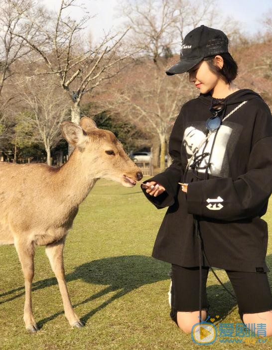 唐艺昕生活照 唐艺昕高清写真_唐艺昕高清剧照