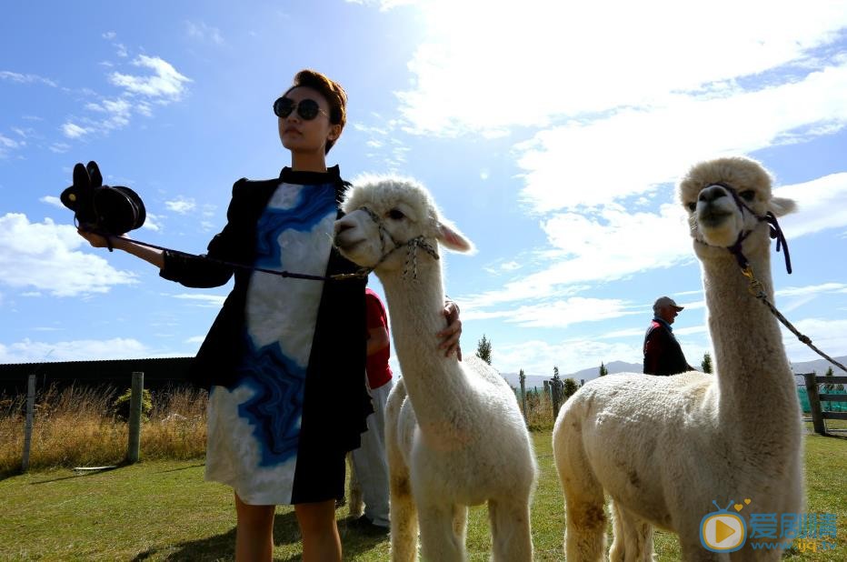 阎娜旅行游玩照 阎娜高清写真_阎娜高清剧照