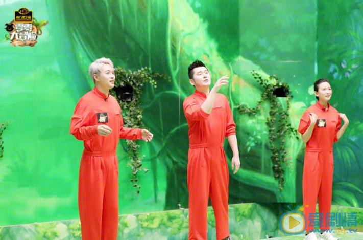 董春辉综艺节目照 董春辉高清写真_董春辉高清剧照
