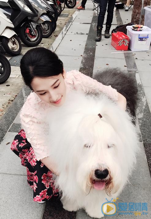 张柏嘉生活照 张柏嘉高清写真_张柏嘉高清剧照