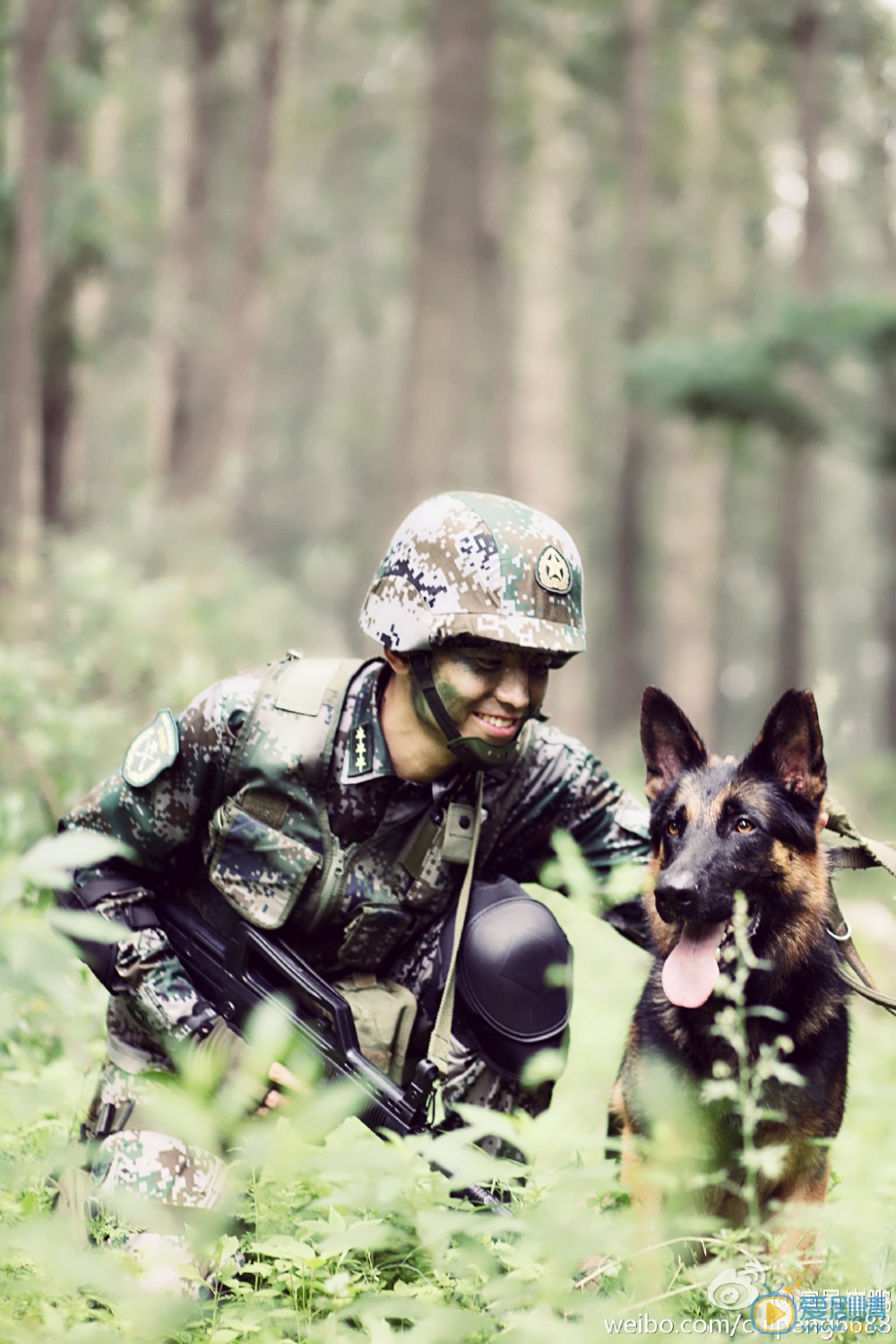 崔鹏《神犬奇兵》剧照 崔鹏高清写真_崔鹏高清剧照