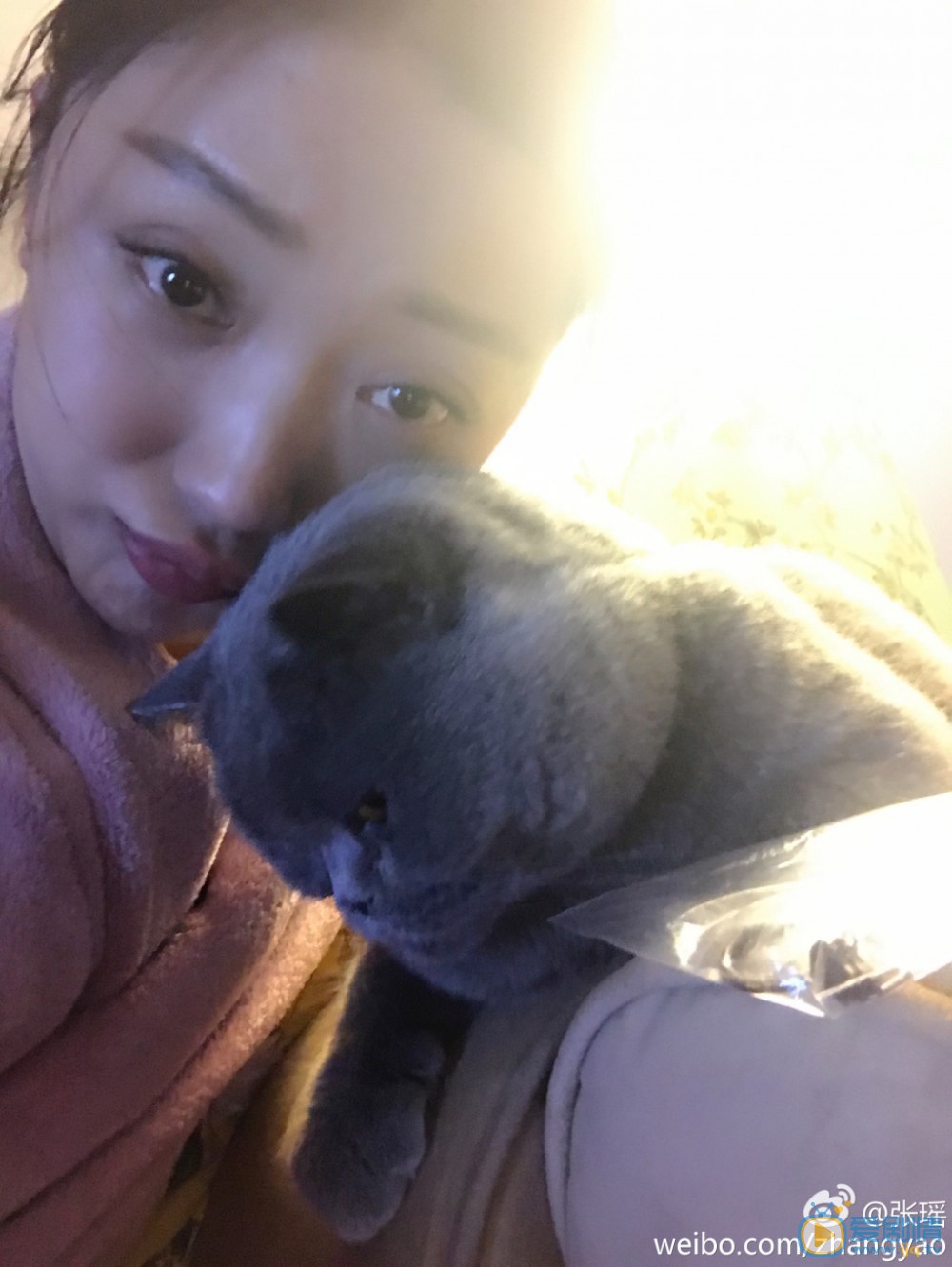 张瑶素颜生活照 张瑶高清写真_张瑶高清剧照