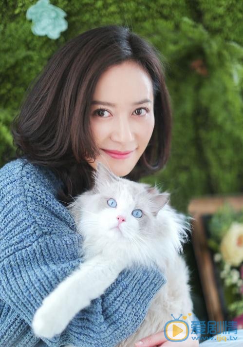 俞飞鸿宠物写真 俞飞鸿宠物写真