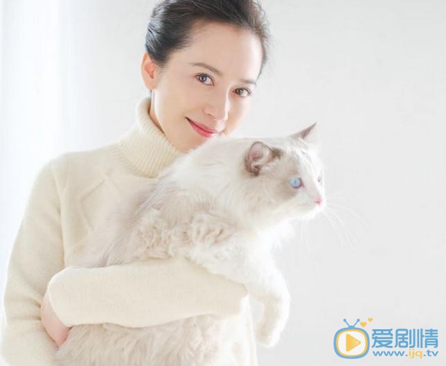 俞飞鸿宠物写真 俞飞鸿高清写真_俞飞鸿高清剧照