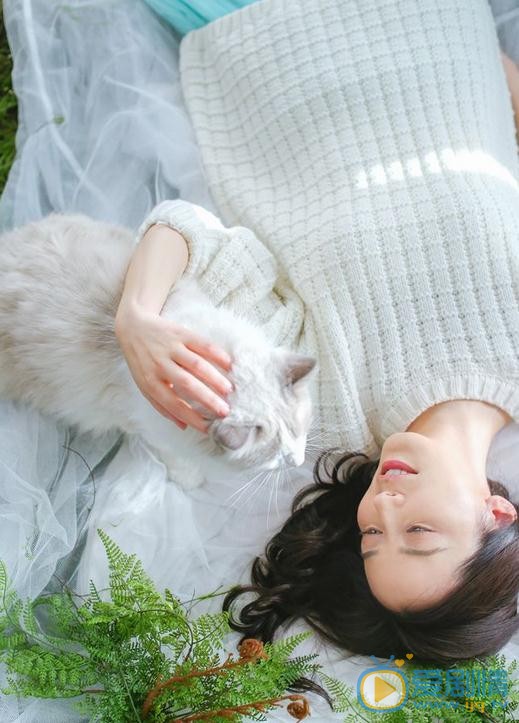 俞飞鸿宠物写真 俞飞鸿高清写真_俞飞鸿高清剧照