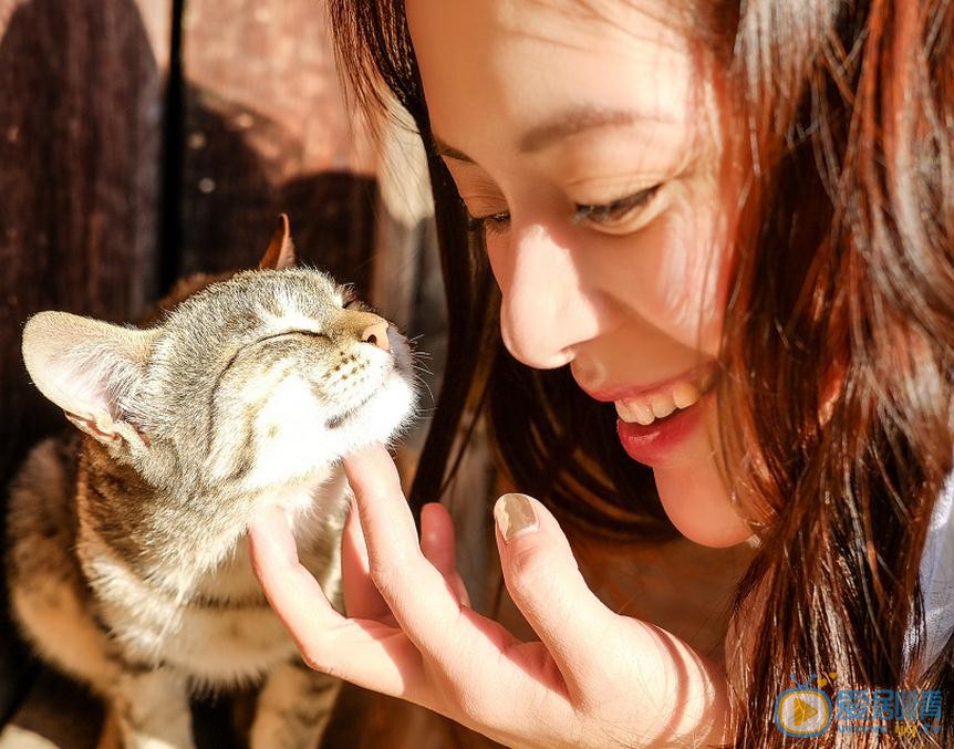 王力可恬静写真 王力可高清写真_王力可高清剧照