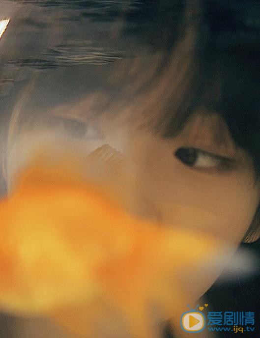 杨肸子文艺写真 杨肸子高清写真_杨肸子高清剧照
