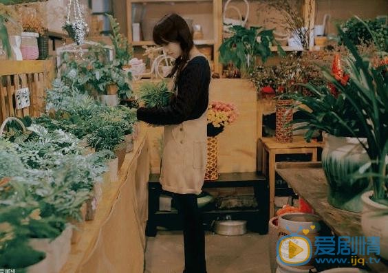 杨肸子文艺写真 杨肸子高清写真_杨肸子高清剧照
