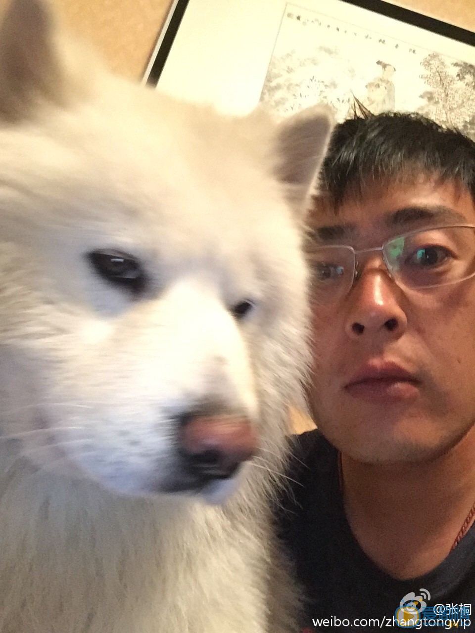 张桐生活照 张桐高清写真_张桐高清剧照