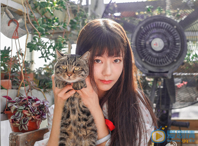 辛瑞琪清纯写真 辛瑞琪高清写真_辛瑞琪高清剧照