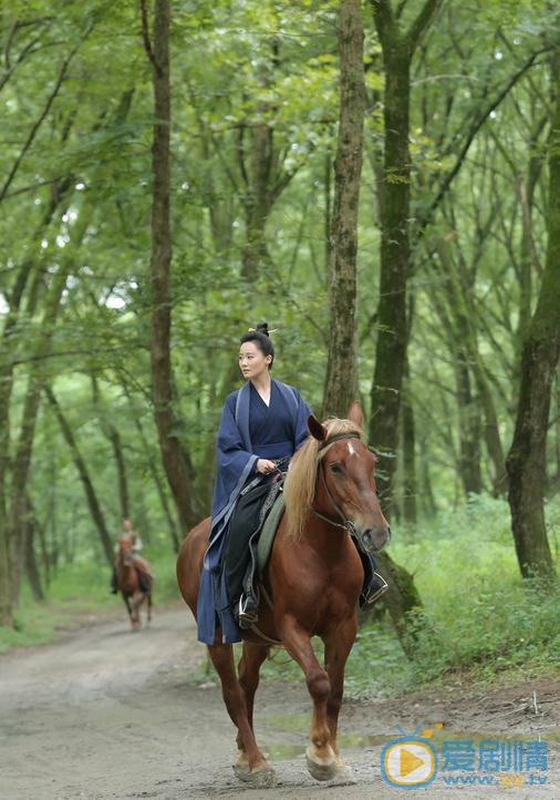 军师联盟剧情介绍(1-42集大结局)