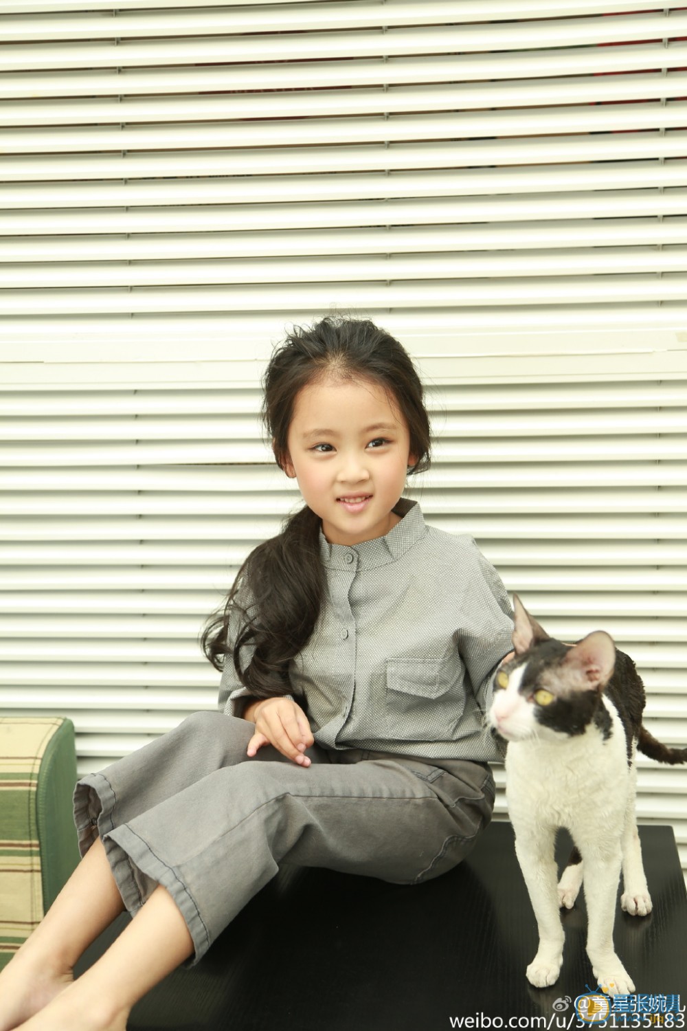 张婉儿萌宠写真 张婉儿高清写真_张婉儿高清剧照