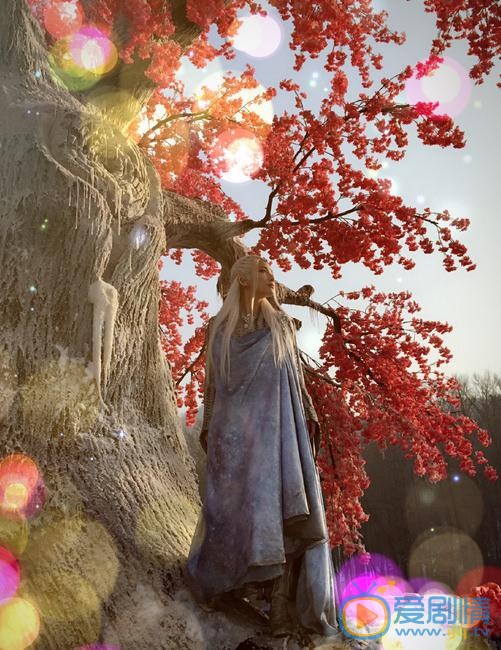 王艺曈《幻城》剧照 王艺曈高清写真_王艺曈高清剧照