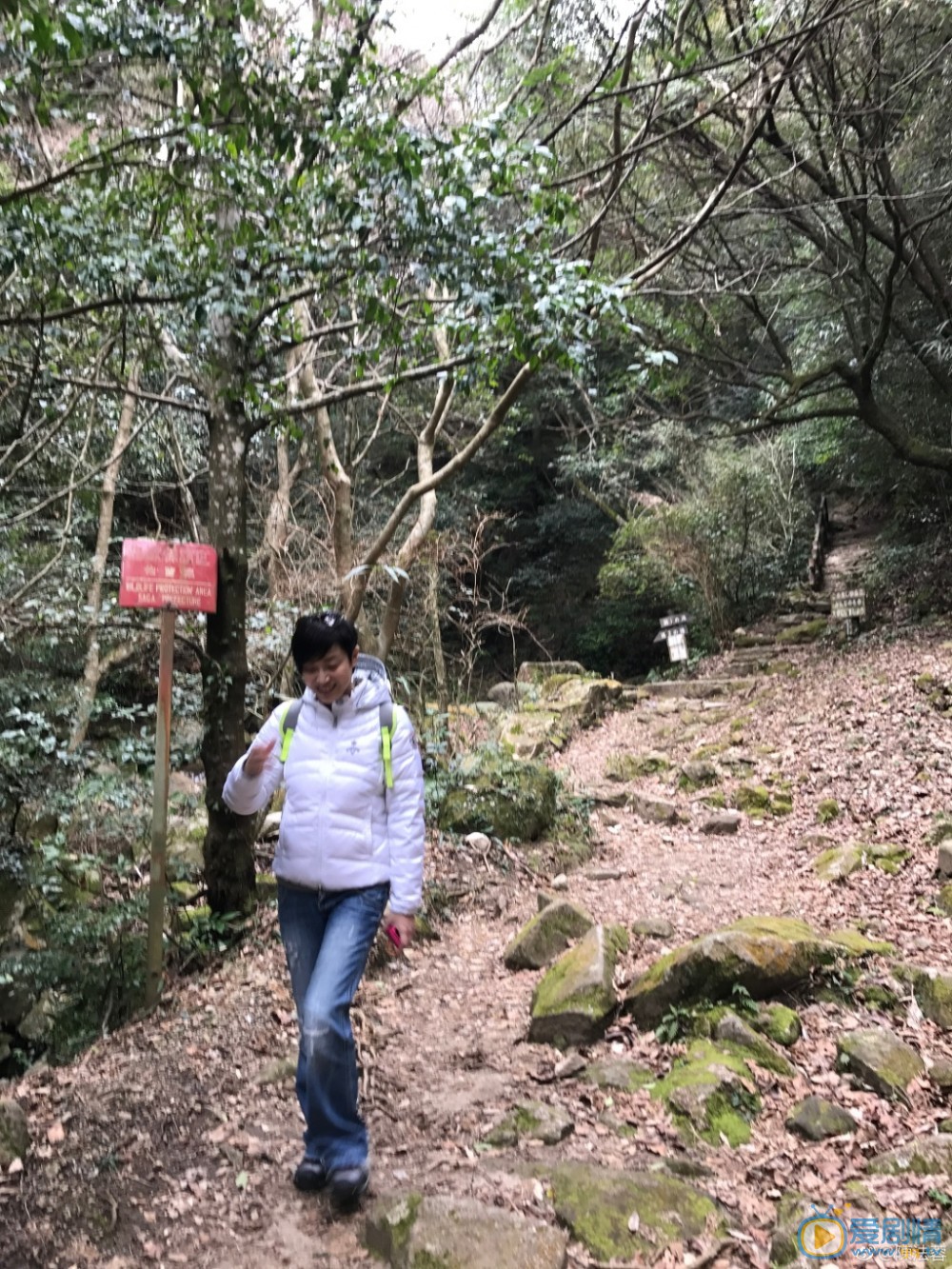 陈法蓉旅行照 陈法蓉高清写真_陈法蓉高清剧照