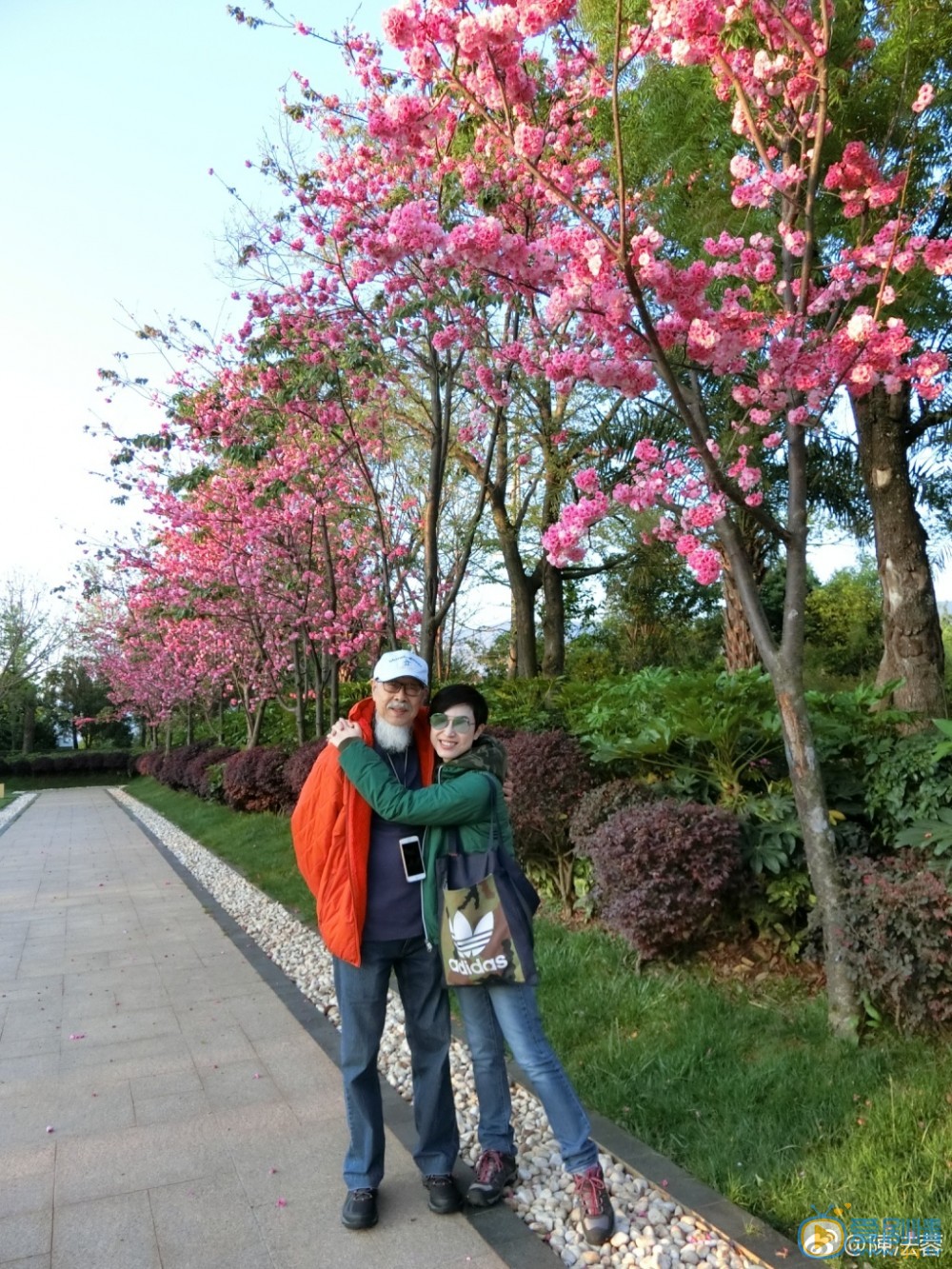 陈法蓉旅行照 陈法蓉高清写真_陈法蓉高清剧照