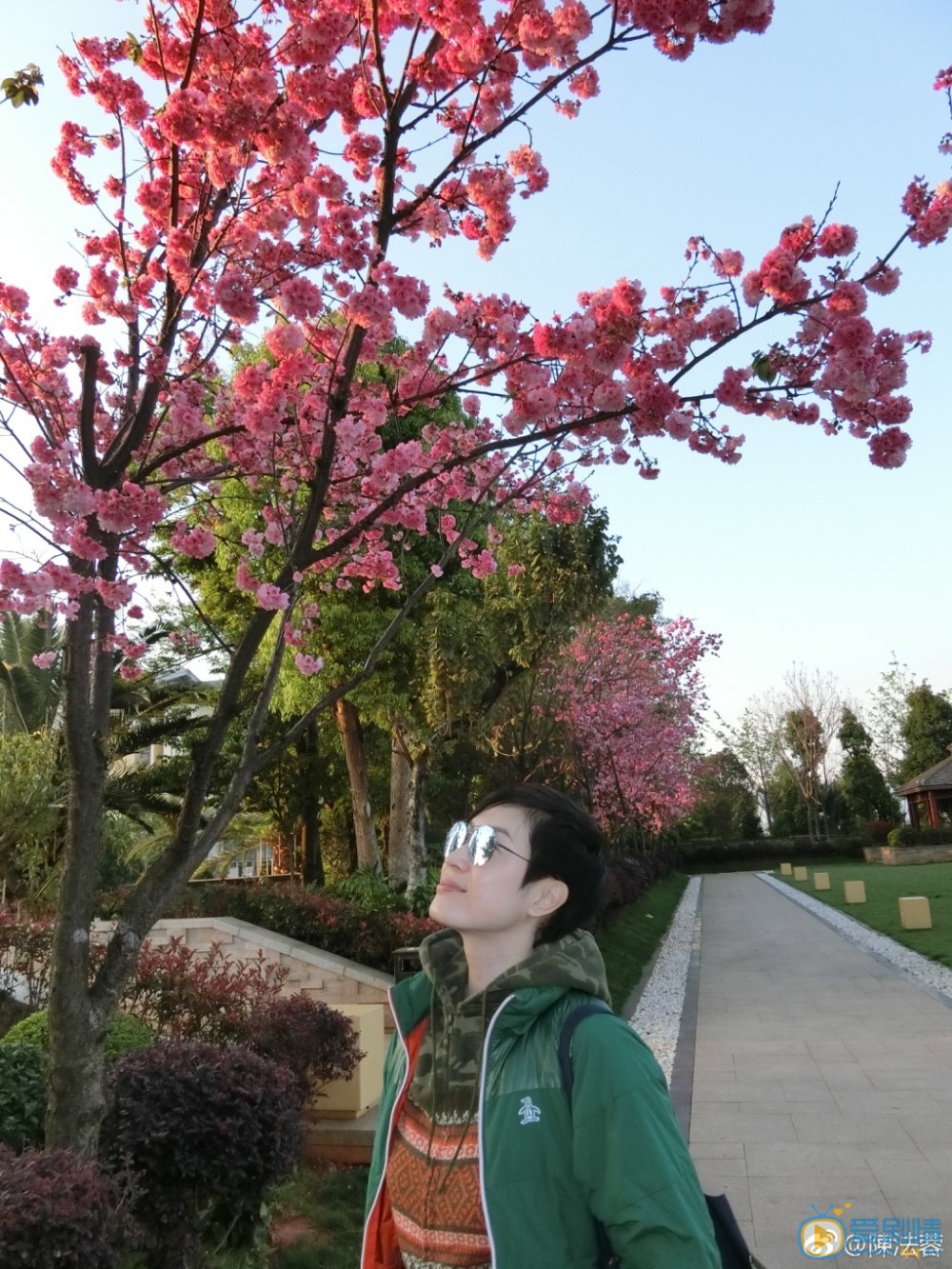 陈法蓉旅行照 陈法蓉高清写真_陈法蓉高清剧照