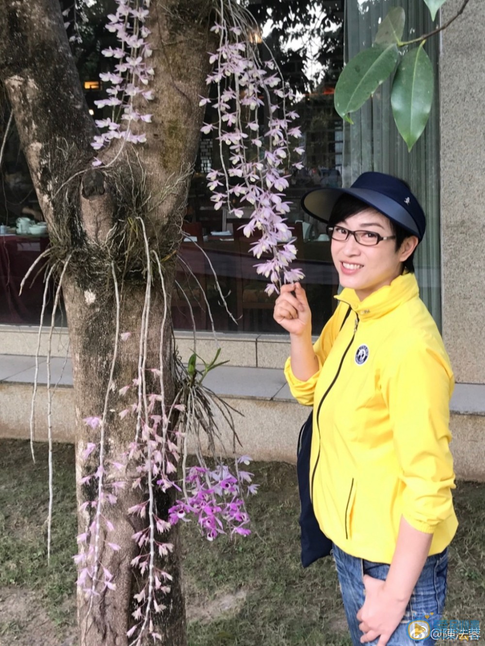 陈法蓉旅行照 陈法蓉旅行照