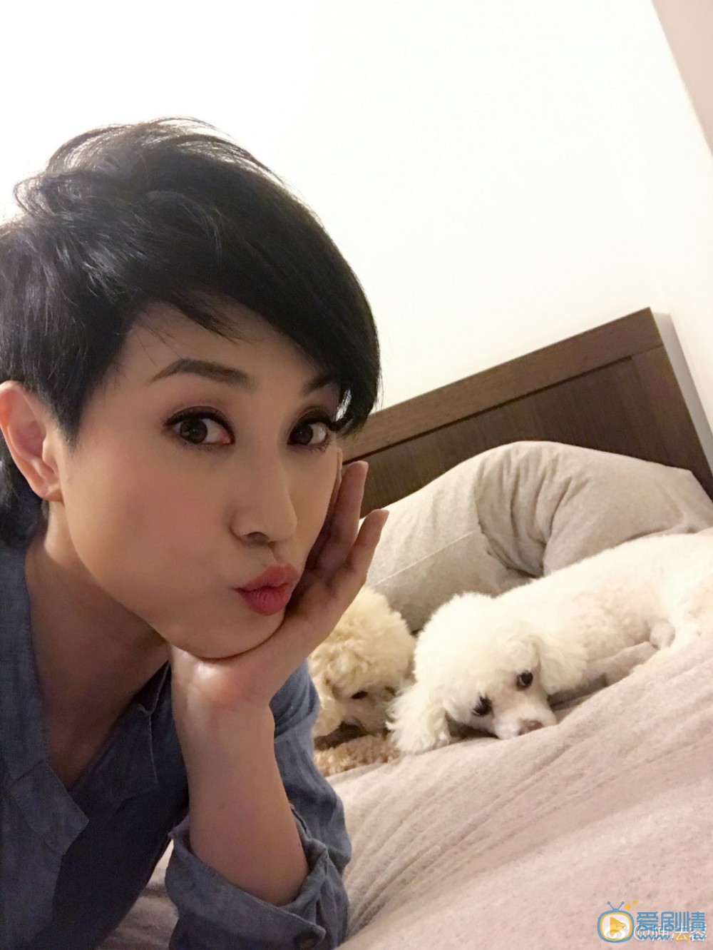 陈法蓉生活照 陈法蓉高清写真_陈法蓉高清剧照