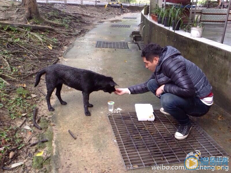 蓝正龙生活照 蓝正龙高清写真_蓝正龙高清剧照