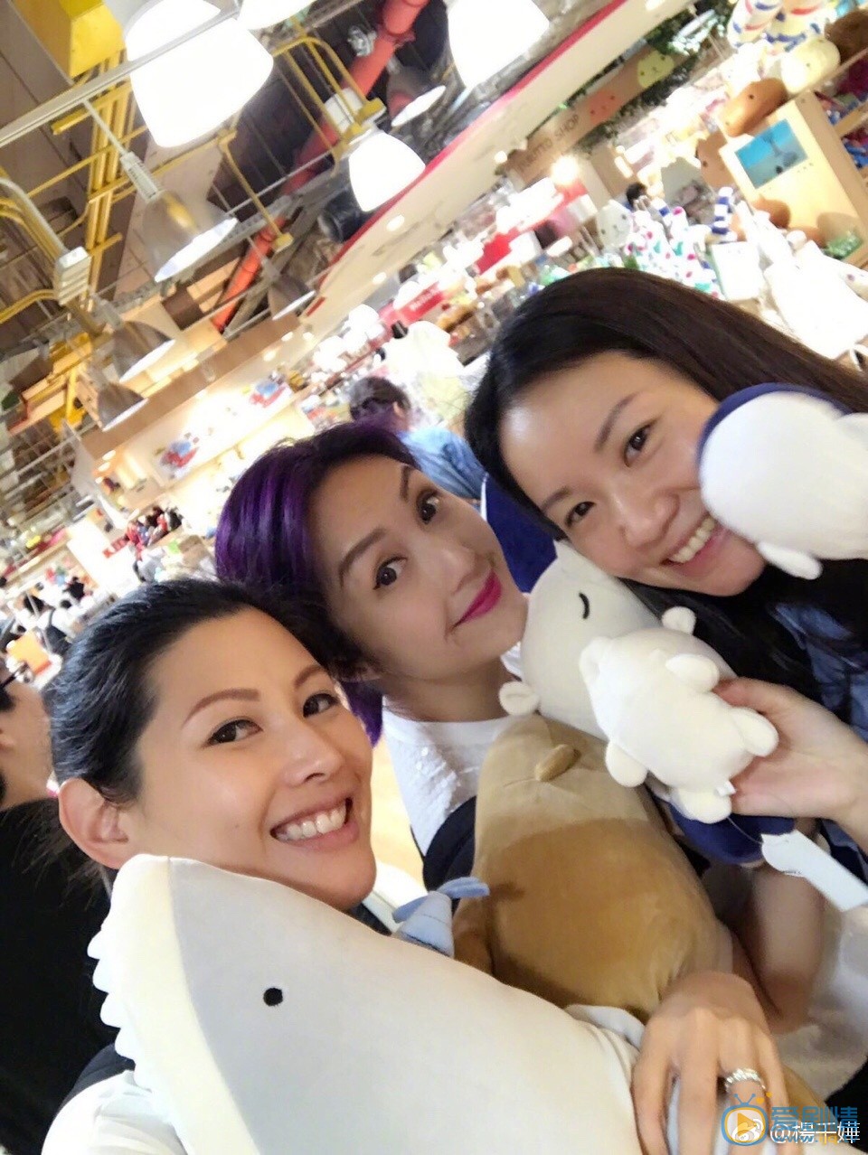 杨千嬅生活照 杨千嬅高清写真_杨千嬅高清剧照