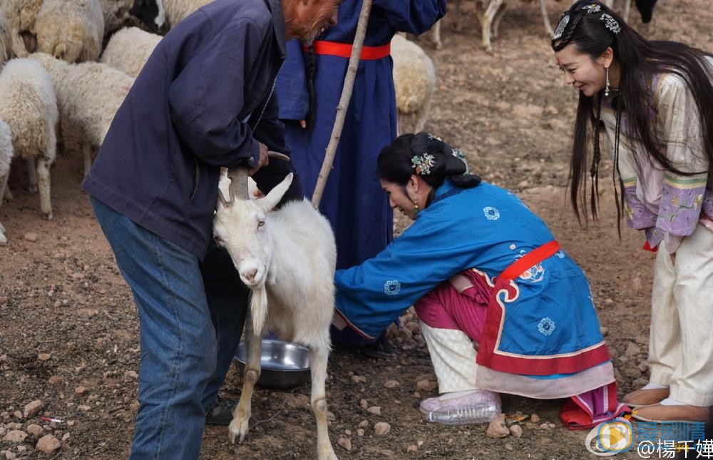 杨千嬅综艺节目照 杨千嬅高清写真_杨千嬅高清剧照