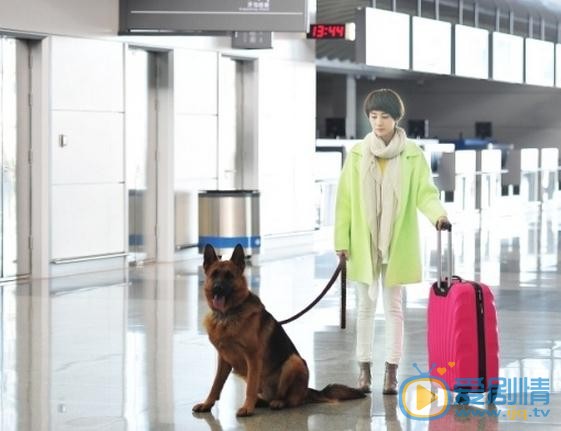 周庭伊《神鹰反恐特战队》剧照 周庭伊高清写真_周庭伊高清剧照