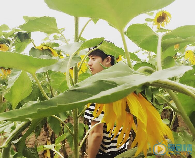 王佑硕阳光写真 王佑硕高清写真_王佑硕高清剧照