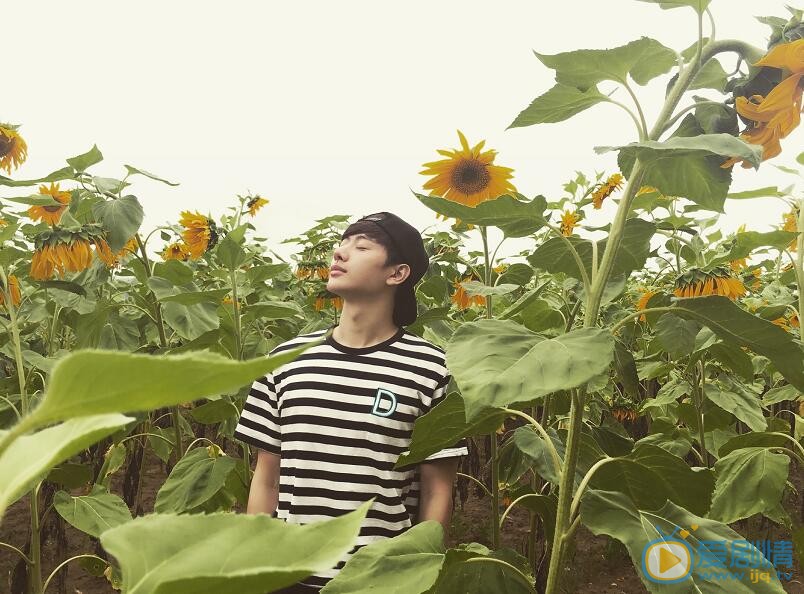 王佑硕阳光写真 王佑硕高清写真_王佑硕高清剧照