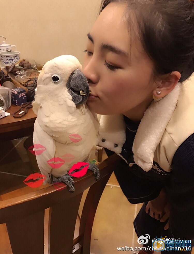 陈维涵生活照 陈维涵高清写真_陈维涵高清剧照