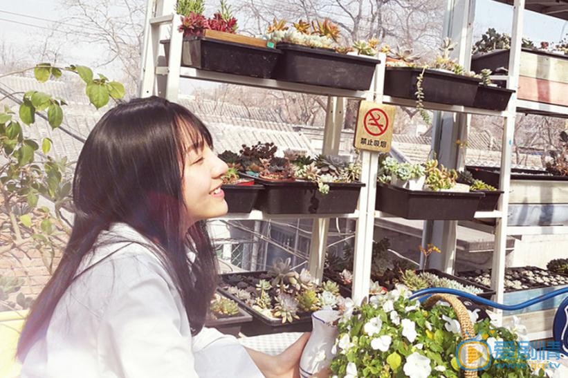 张樟小清新写真 张樟高清写真_张樟高清剧照