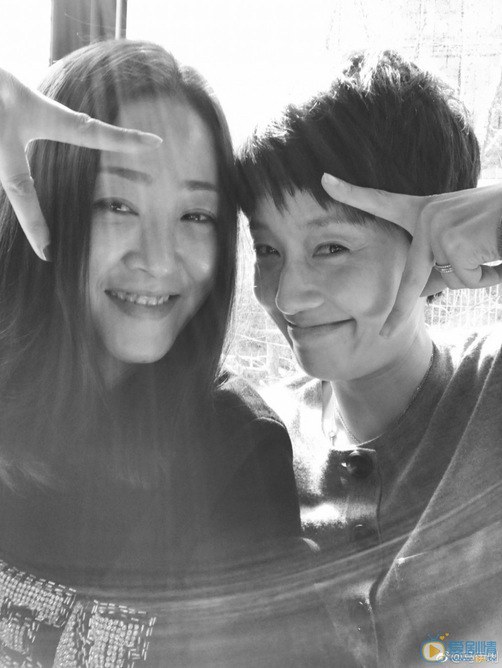 马伊琍素颜生活照 马伊琍高清写真_马伊琍高清剧照