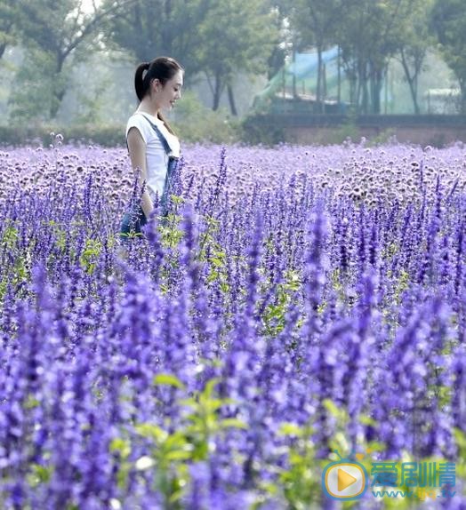 李嘉慧生活照 李嘉慧高清写真_李嘉慧高清剧照